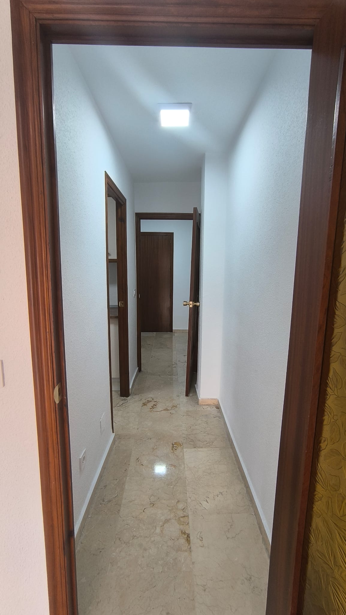 50048_WhatsApp Image 2025-12-04 at 10.24.49.jpeg